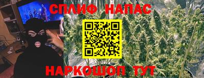 прущие грибы Магадан