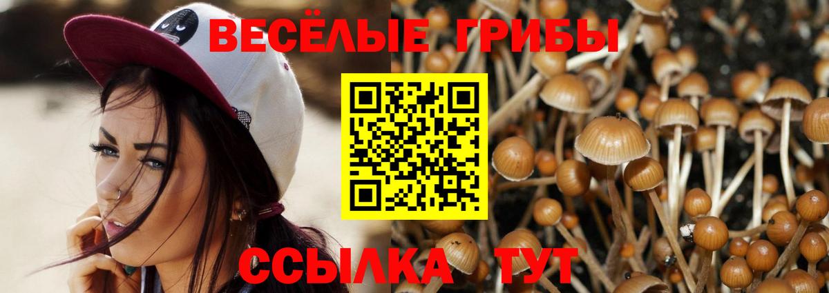 Кемерово  Галлюциногенные грибы Psilocybe  Вход с VPN 